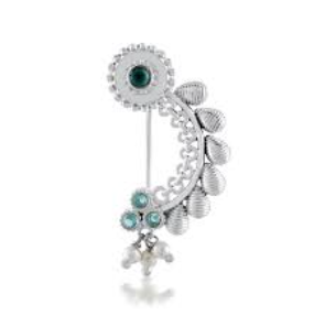 Silver Nath